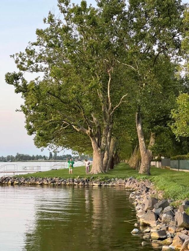 Balatonboglár Rozsa Nyaralohaz 빌라 외부 사진