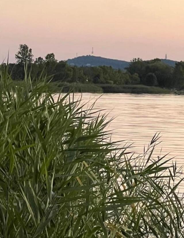 Balatonboglár Rozsa Nyaralohaz 빌라 외부 사진